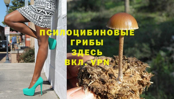 мескалин Нязепетровск