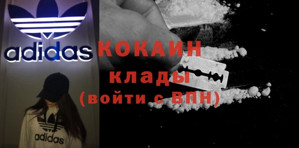 ПСИЛОЦИБИНОВЫЕ ГРИБЫ Алзамай