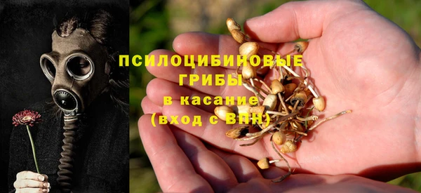 spice Алексин