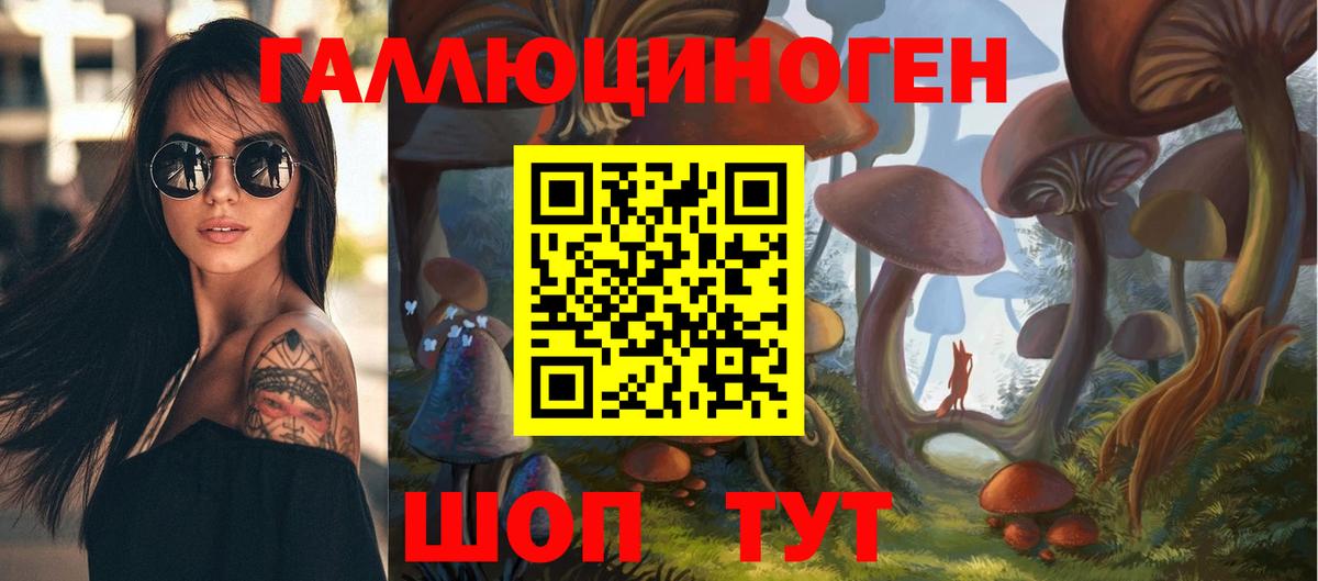 Нижний Тагил  Псилоцибиновые грибы мухоморы  Вход с VPN 